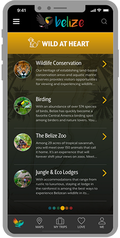 Experience Belize App Screens