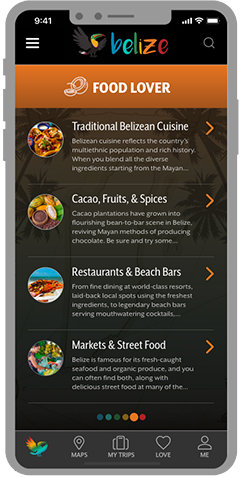 Experience Belize App Screens