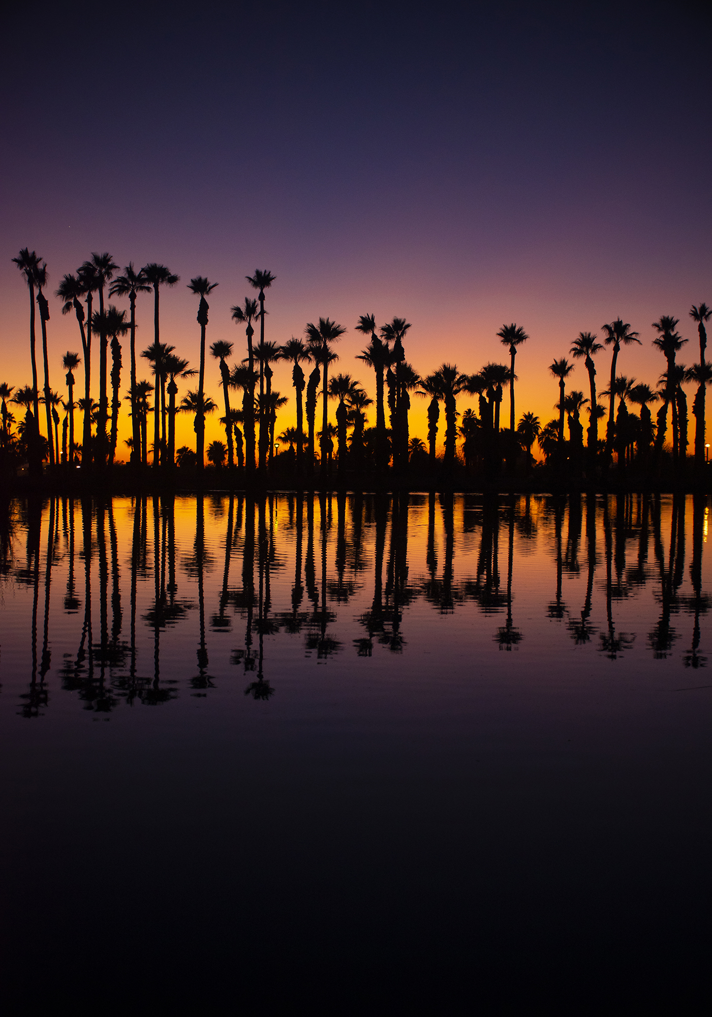 Saguaro National Park, Arizona